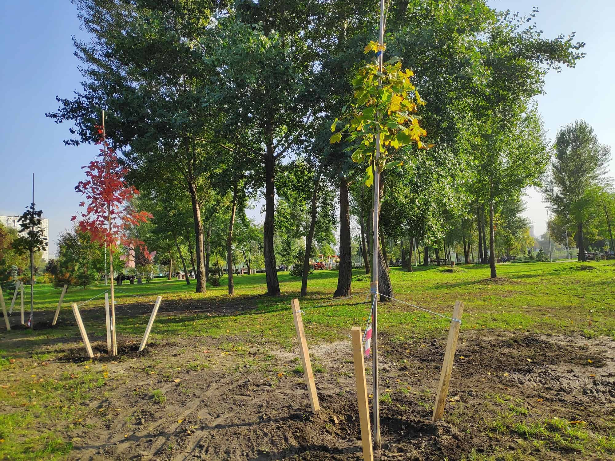 Staking a Tree Is Nearly Certainly not The Appropriate Situation To Do * Large Weblog of Gardening