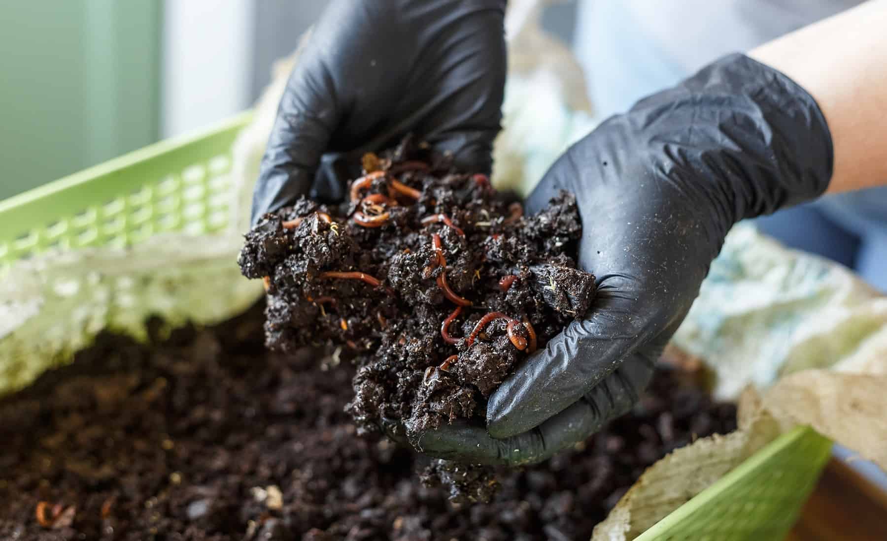 Your Full Data to Worthwhile Vermicomposting * Large Weblog of Gardening